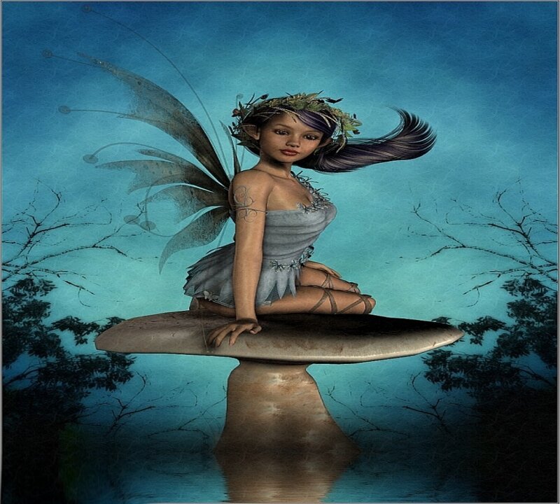 fairy on a mushroom