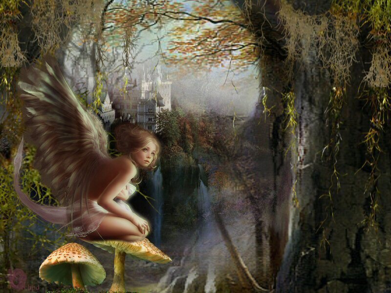 fairy on a mushroom in forest
