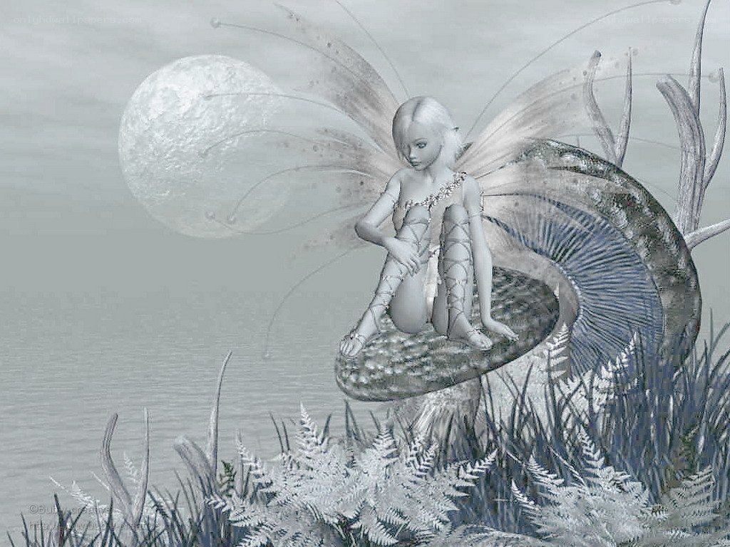 Fairy on a mushroom under moonlight