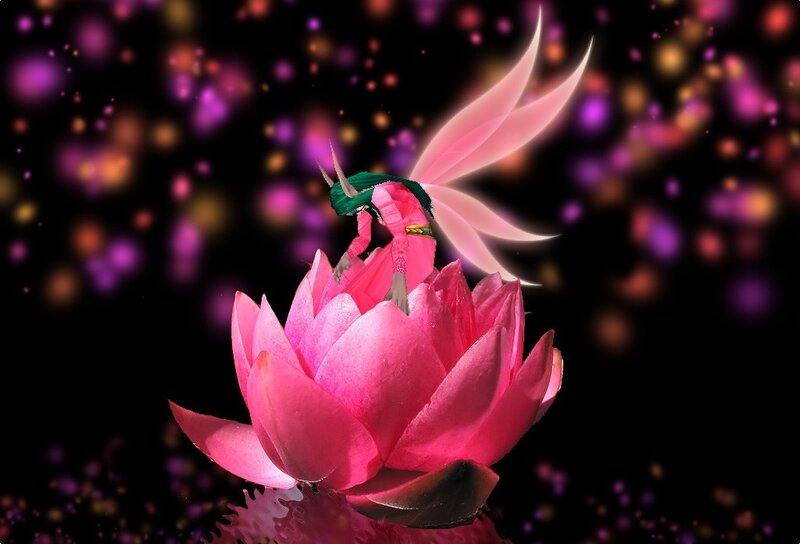 fairy on a pink lotus
