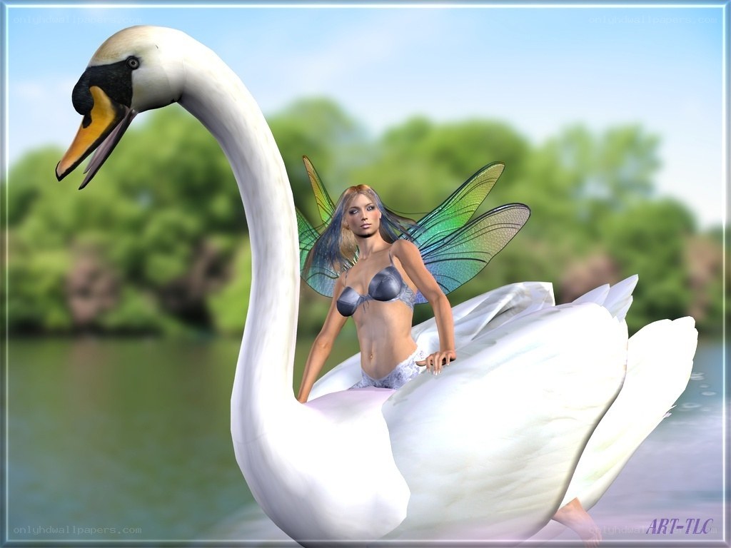 fairy on a swan
