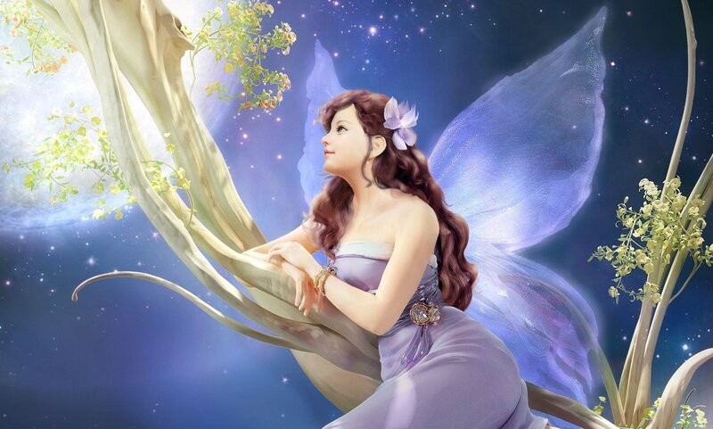 fairy on a tree branch