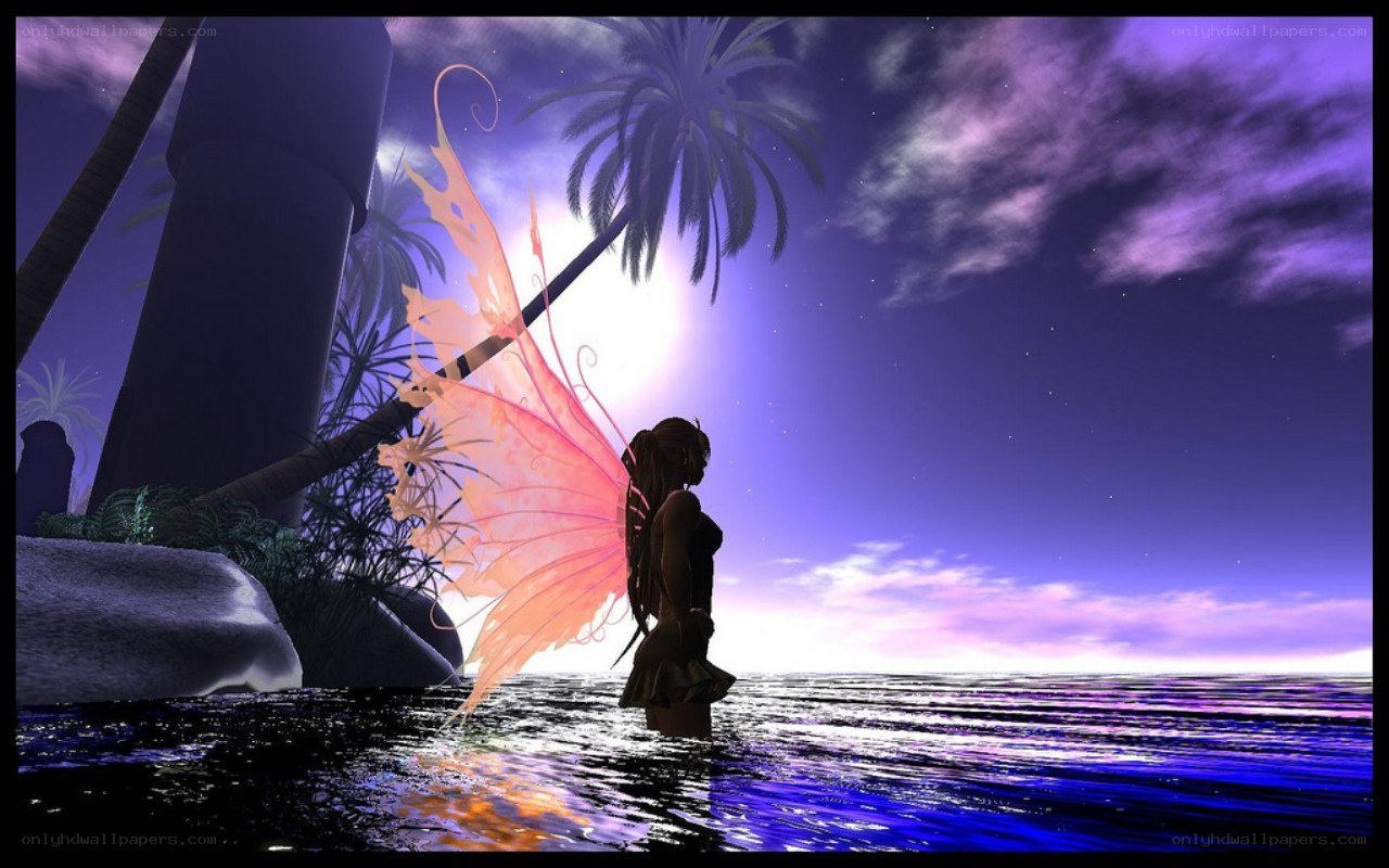 fairy on a tropical beach