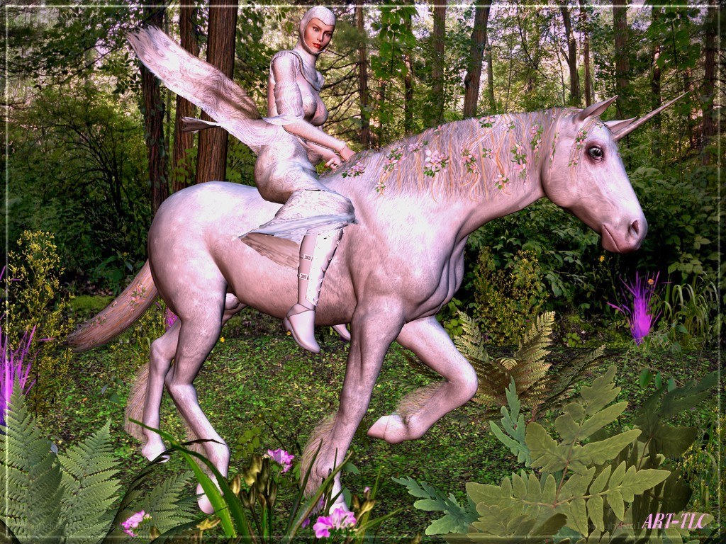 Fairy on a unicorn in forest