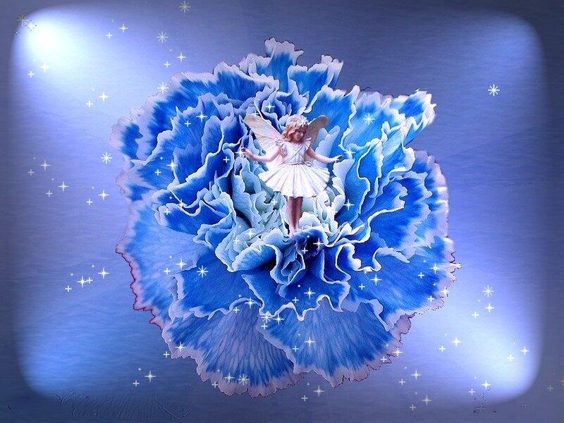 Fairy on Blue Flower — Dreamy