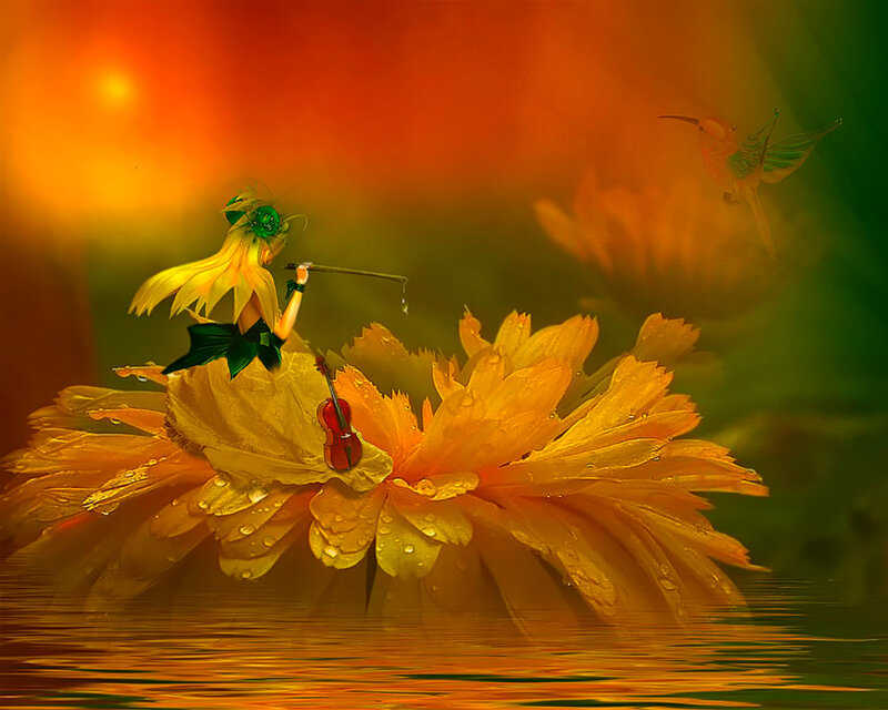 Fairy on Flower — Orange