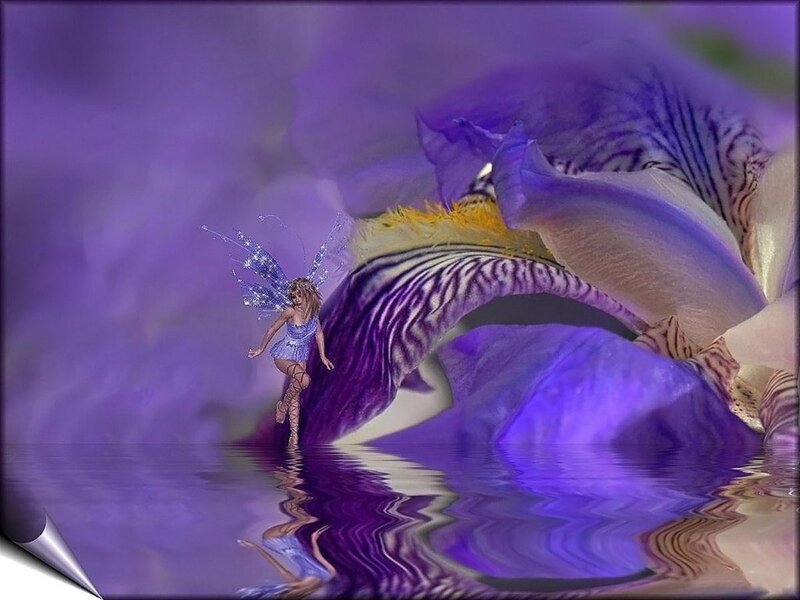 Fairy on Flower