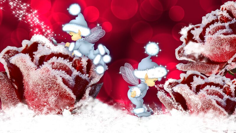 Fairy on Frozen Rose