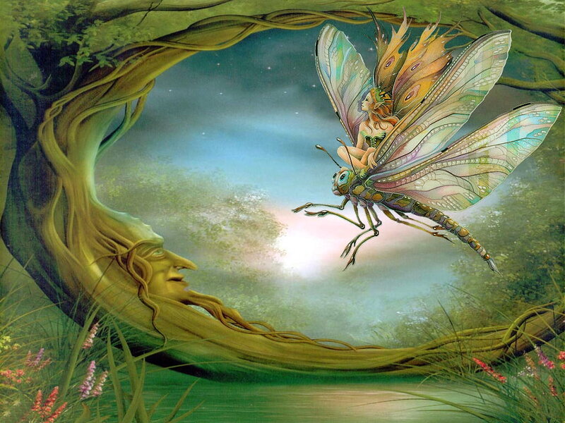 Fairy on Insect