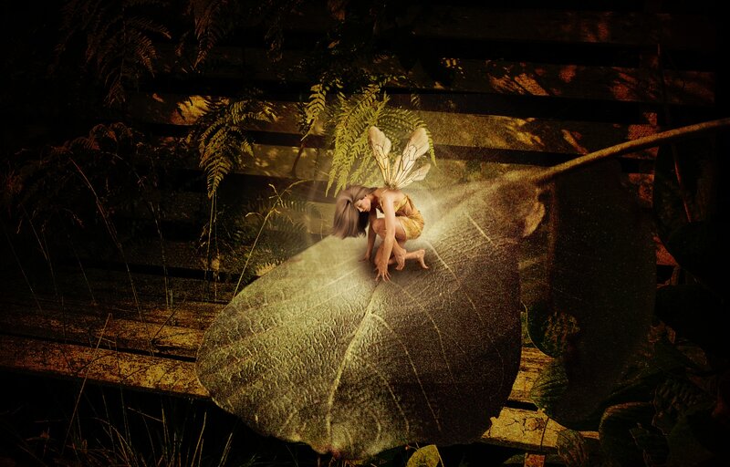 Fairy on Large Leaf