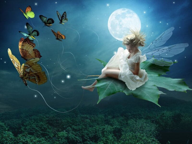 Fairy on Leaf — Blue