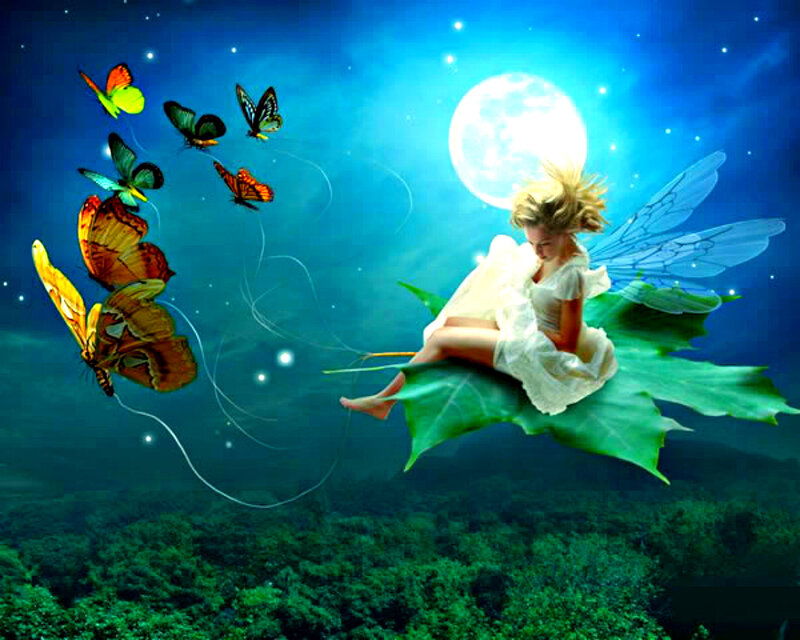 Fairy on Leaf with Butterflies