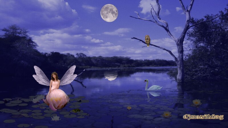 Fairy on Lily Pad — Blue, Serene, Night