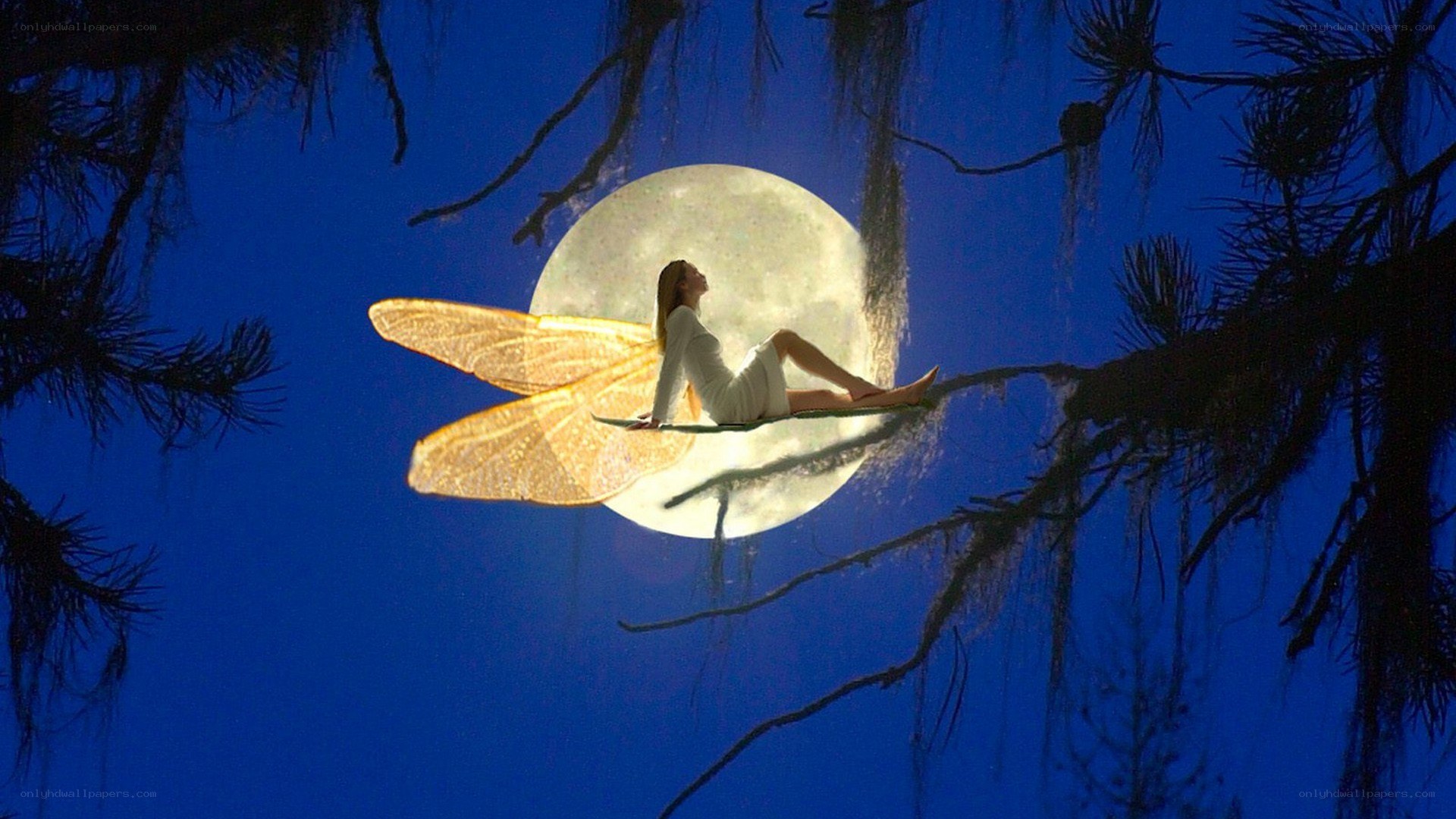 fairy on moonlit branch