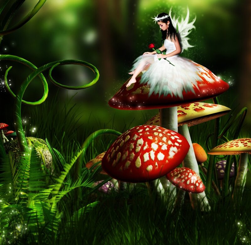 Fairy on Mushroom — Green, Magical, Digital Art