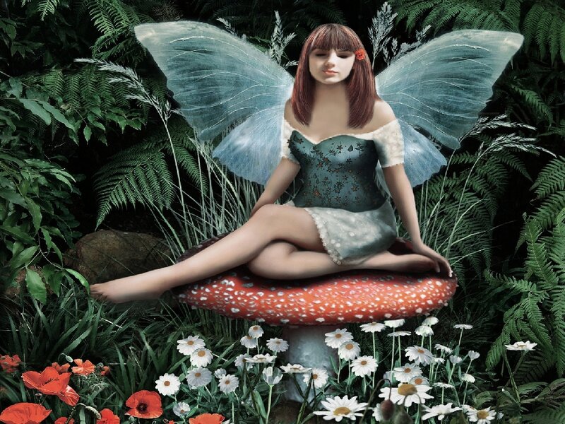 Fairy on Mushroom — Green, Serene, Afternoon