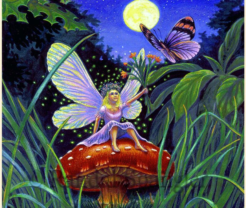 Fairy on Mushroom — Green, Serene, Night, Illustration