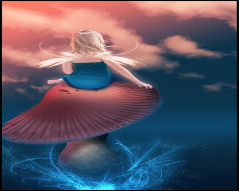 Fairy on Mushroom
