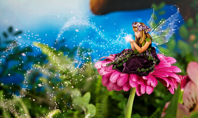 Fairy on Pink Flower — Magical