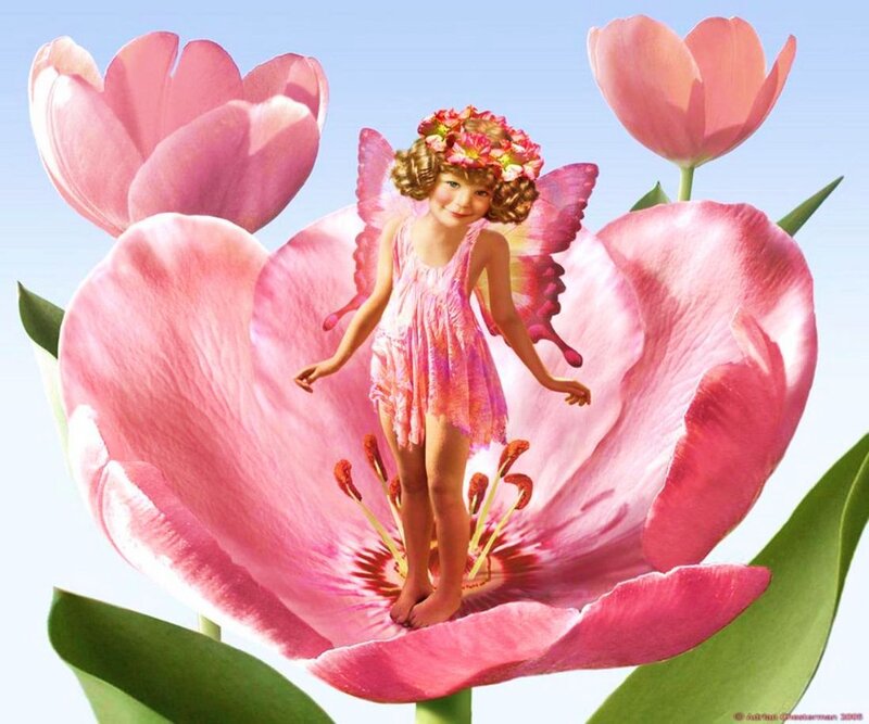 Fairy on Pink Flower