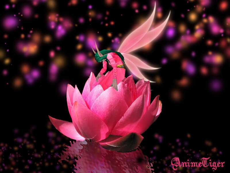 Fairy on Pink Lotus