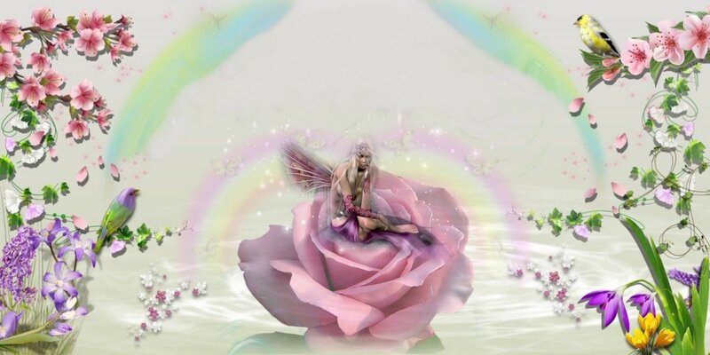 Fairy on Pink Rose — Serene, Spring