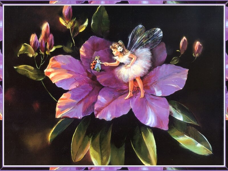 Fairy on Purple Flower — Serene, Night, Illustration