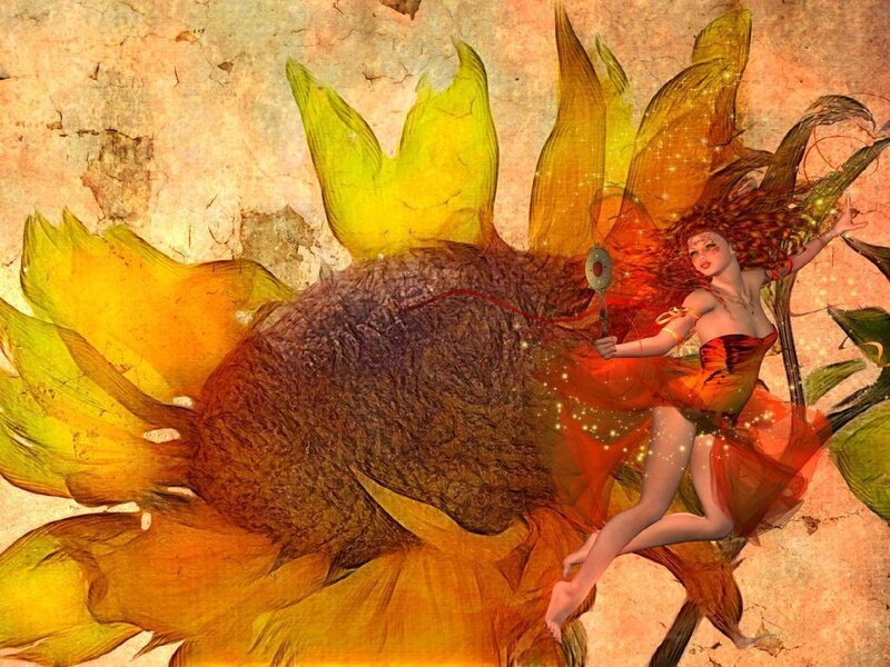 Fairy on Sunflower