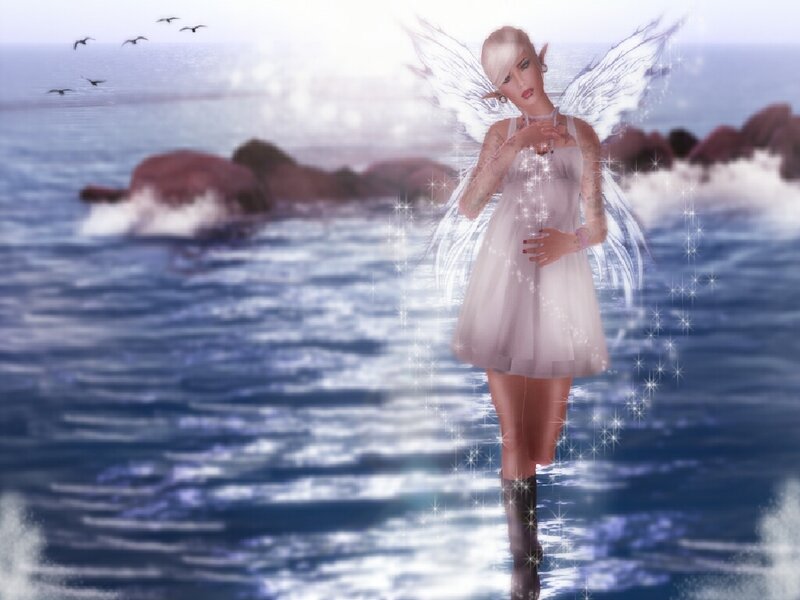 fairy on the beach