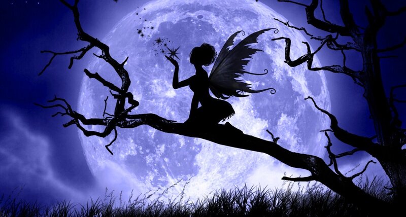 Fairy on Tree Branch