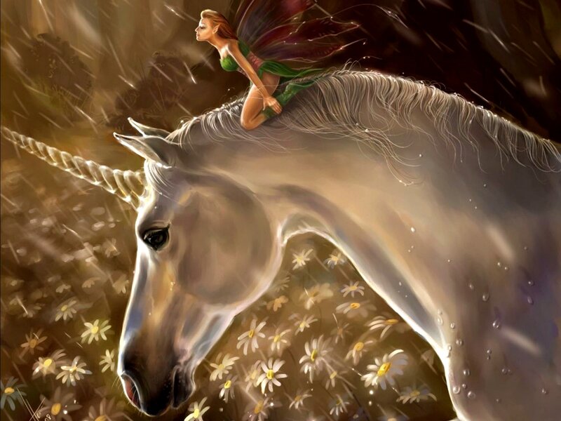Fairy on Unicorn — White, Serene, Night, Digital Art