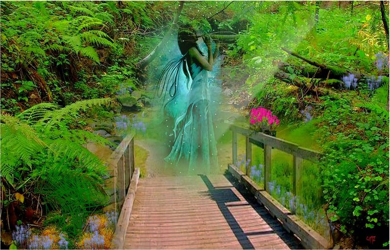 Fairy on Wooden Bridge