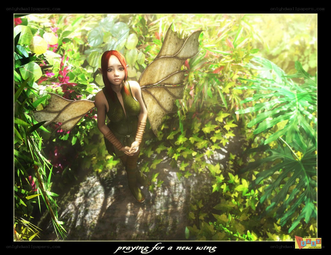 fairy praying for a new wing
