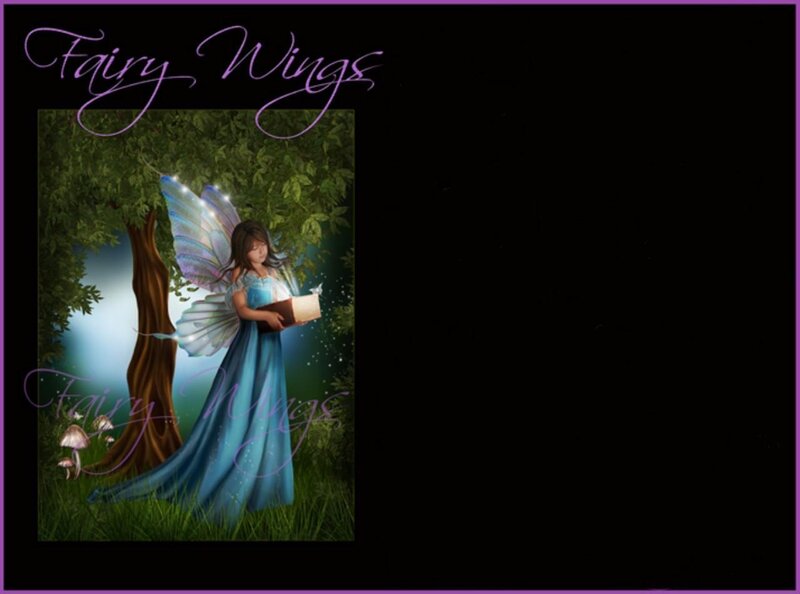 Fairy Reading Book — Blue