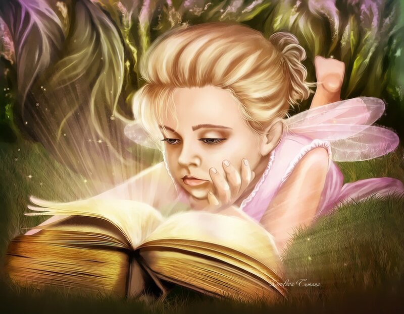Fairy Reading Book — Pink