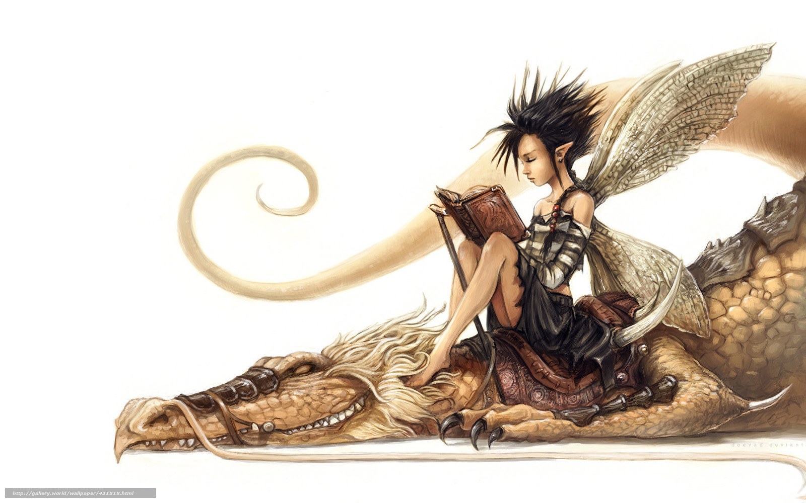 fairy reading on a dragon