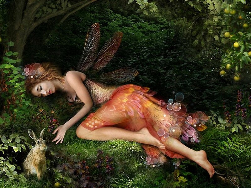 Fairy resting in a forest