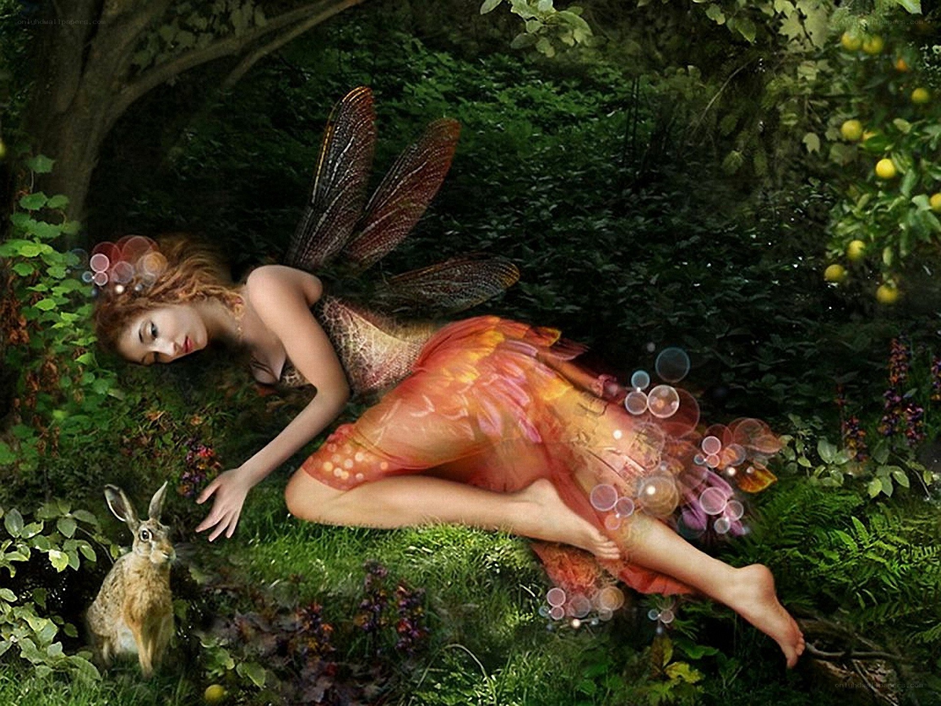 Fairy resting in a forest