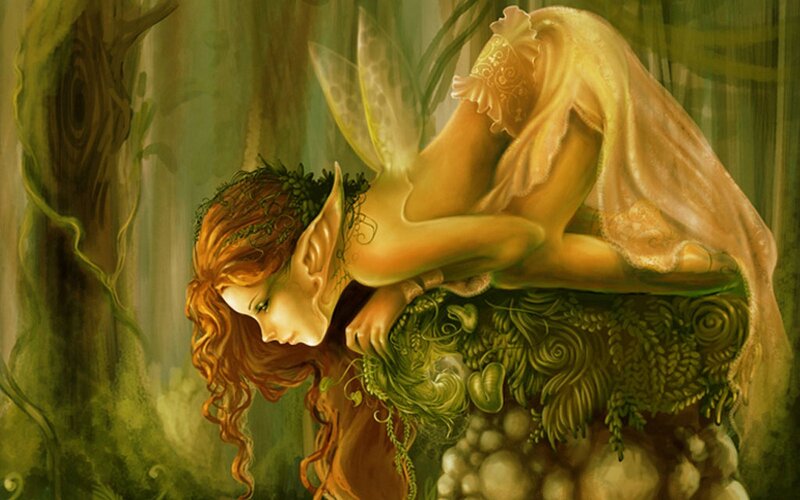 Fairy resting in forest