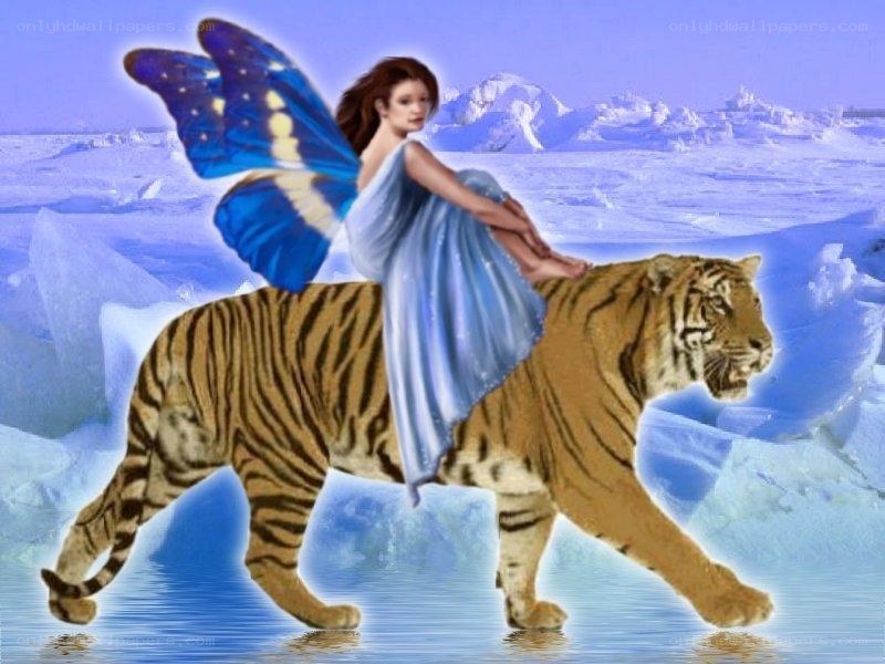 fairy riding a tiger