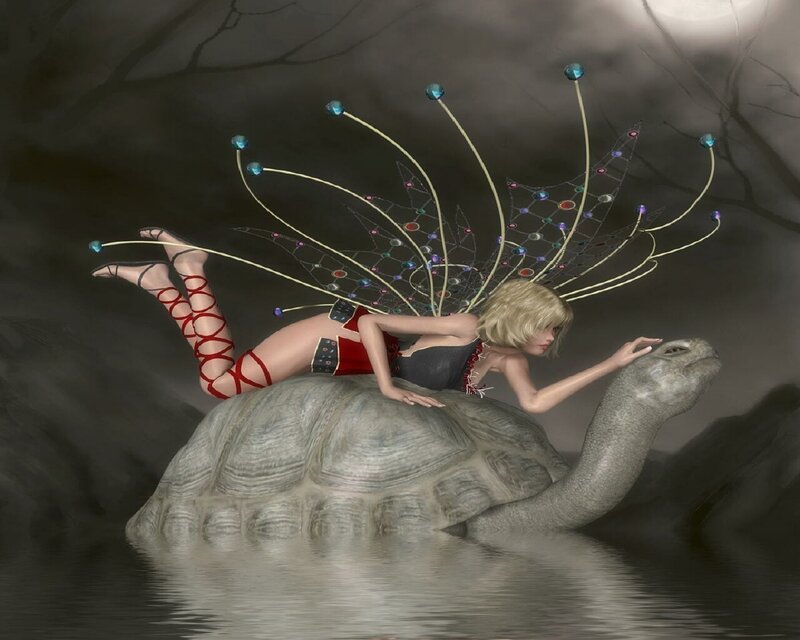 fairy riding a tortoise