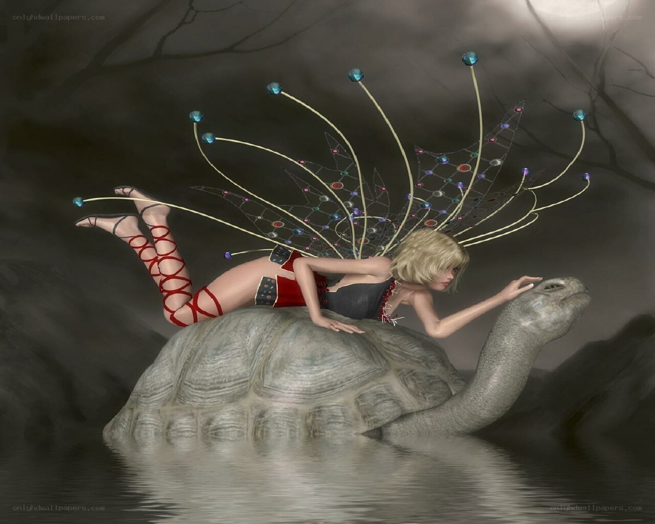 fairy riding a tortoise