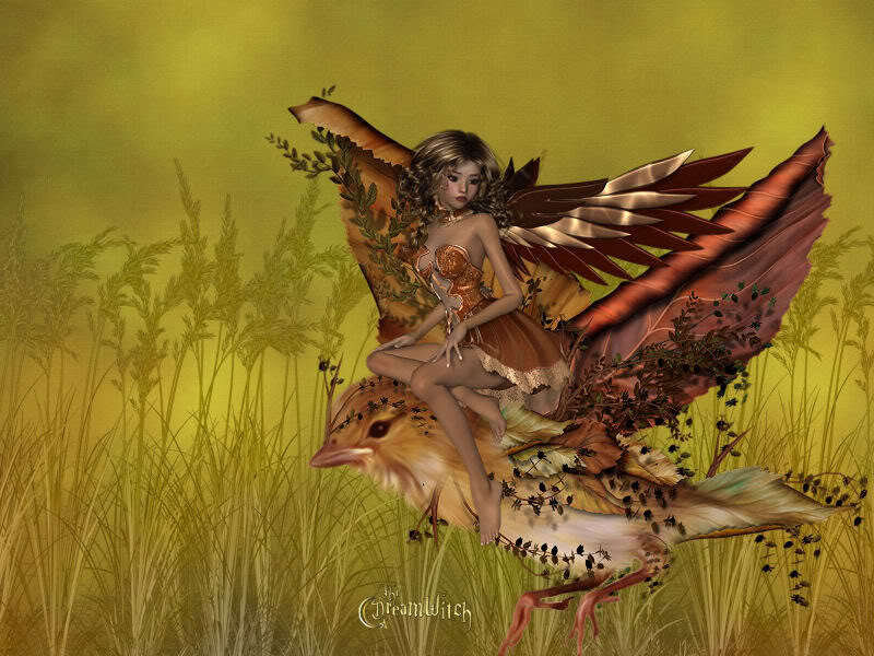 Fairy Riding Bird
