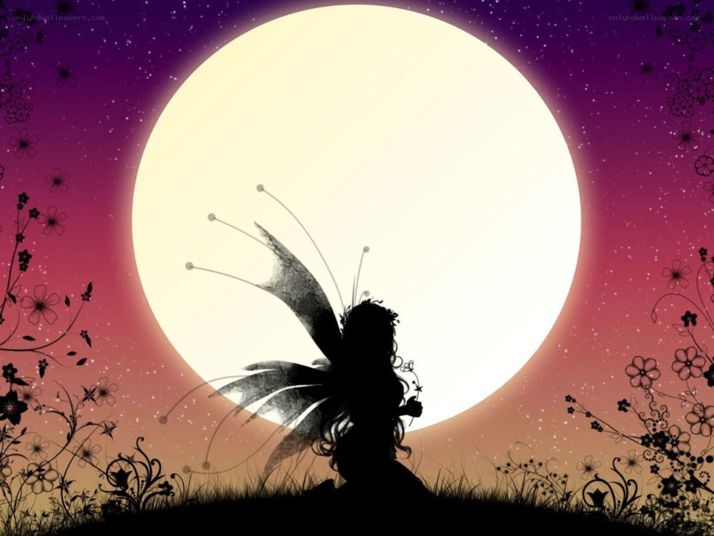 fairy silhouette at night