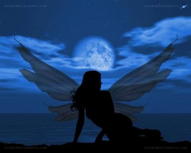 fairy silhouette by moonlight