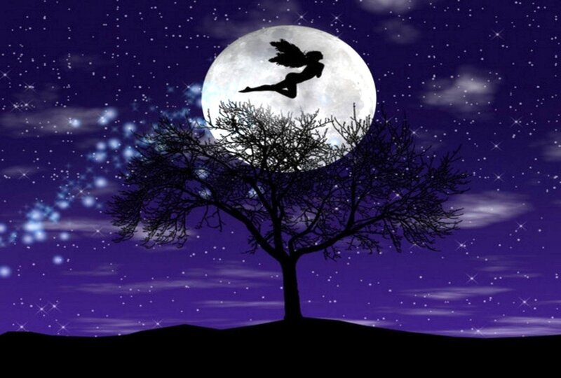Fairy Silhouette Flying