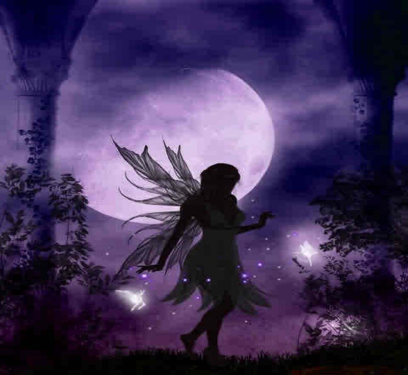 Fairy silhouette under purple moon
