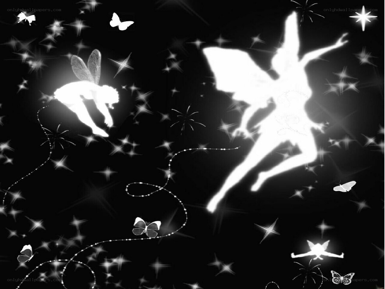 fairy silhouettes in starry night