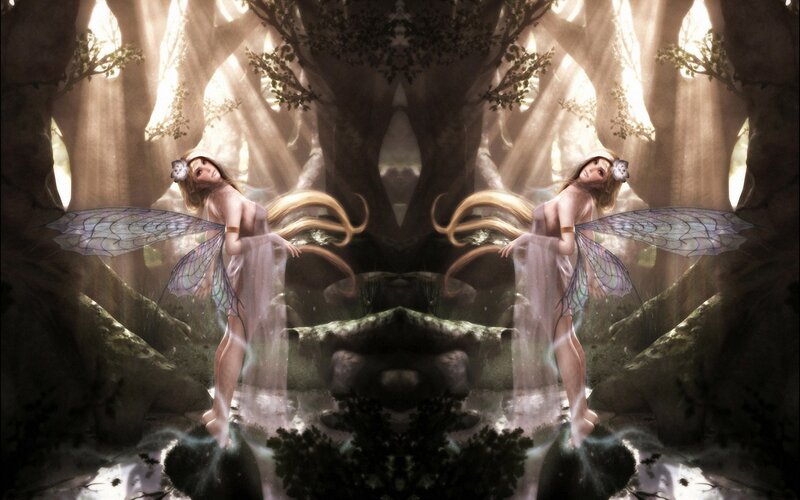 Fairy sisters in a forest