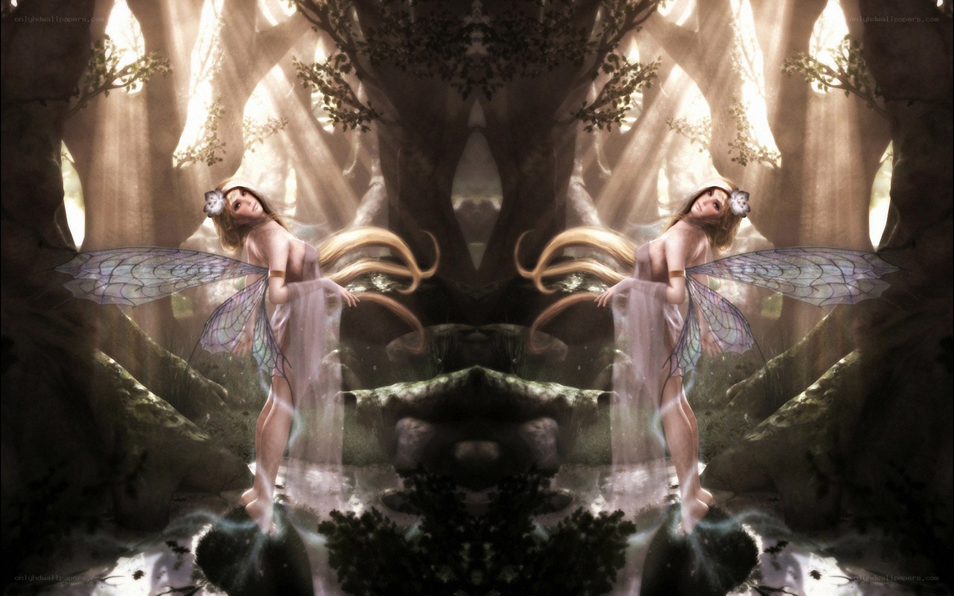 Fairy sisters in a forest